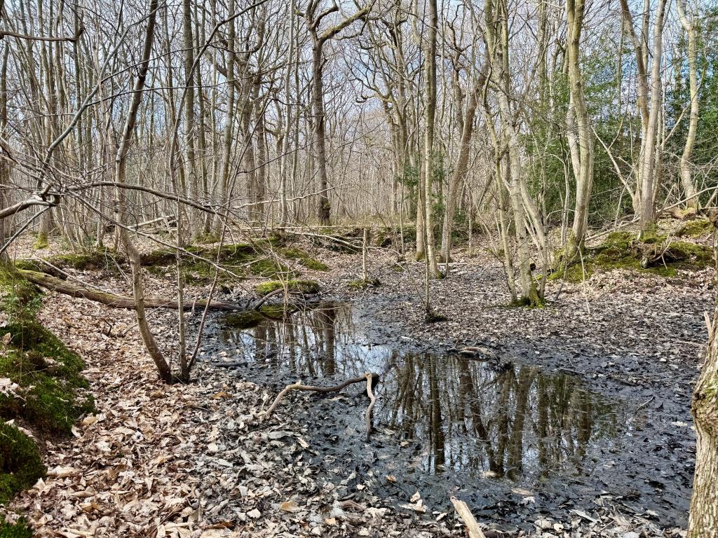 Lot: 2 - APPROX. 9.5 ACRES OF WOODLAND - Seasonal lake